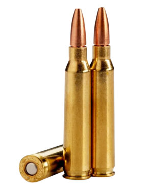 Lehigh Defense 223 Rem 62gr Controlled Chaos Hollow Point Ammo - 20rds