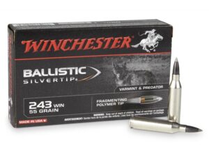 Winchester Ballistic Silvertip 243 Win 55gr Fragmenting PT Ammo - 20rds