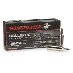Winchester Ballistic Silvertip 22-250 Rem 55gr Fragmenting PT Ammo - 20rds