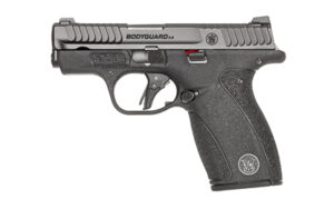 Smith & Wesson Bodyguard 2.0 .380 ACP 2.75" Bbl Black 10/12 Round Firearm
