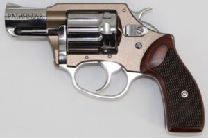 Charter Arms Pathfinder Bronze Beauty 22WMR 2" Bbl Bronze/Hi-Polish Aluminum 8 Round Firearm