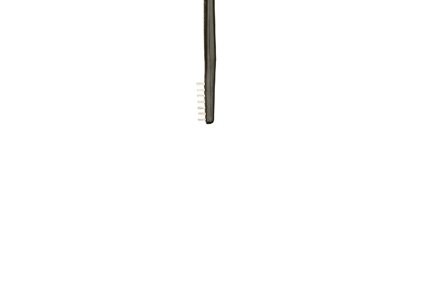 60497_SDE.jpg