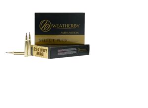 Weatherby 224 WBY Mag 37gr Hammer Custom Ammo - 20rd